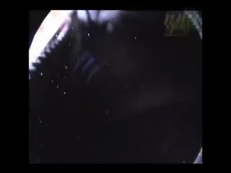 Molestation [Real!] - Erotic Videos/Erotic Video Net | Adult Videos 