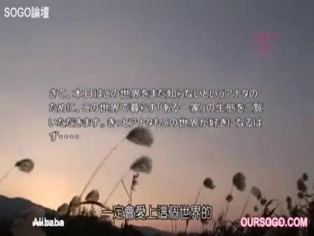 セックスに全く抵抗がない家族が朝から近親相姦 free on - Ero Video 